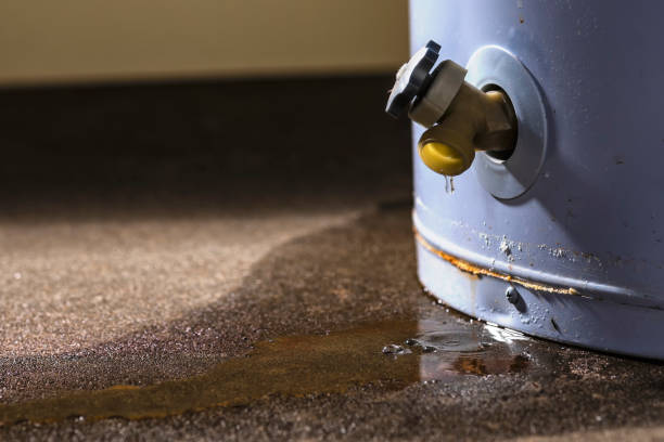 Best Sewage cleanup and water damage restoration  in Cottageville, SC