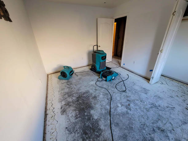 Best Water damage repair service  in Cottageville, SC