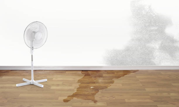 Best Residential water damage restoration  in Cottageville, SC