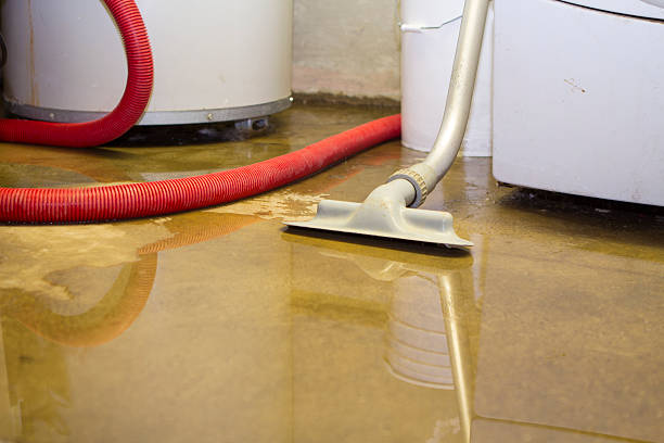 Best Flood damage cleanup  in Cottageville, SC