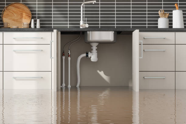 Best Water damage restoration near me  in Cottageville, SC
