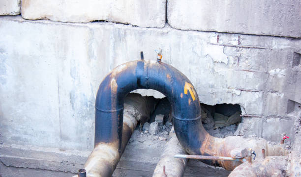 Best Water damage restoration mold remediation  in Cottageville, SC