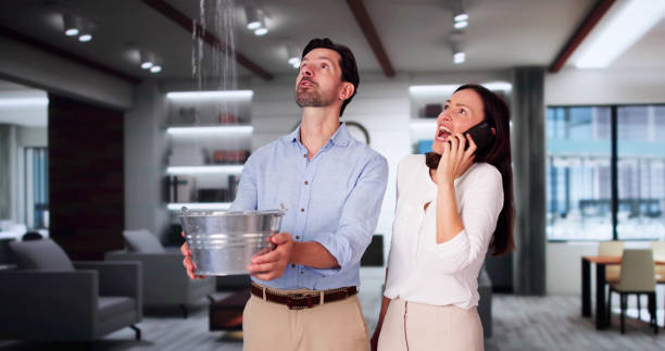 Best Water damage restoration near me  in Cottageville, SC