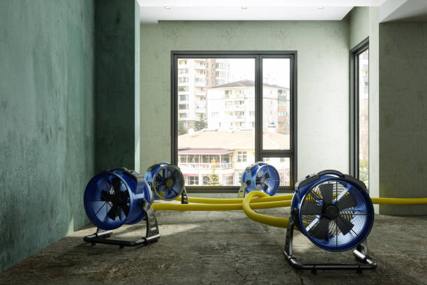 Best Water damage contractors near me  in Cottageville, SC