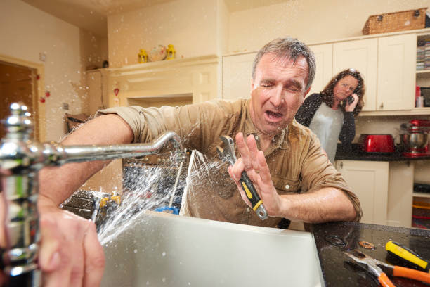 Best Professional water damage repair  in Cottageville, SC